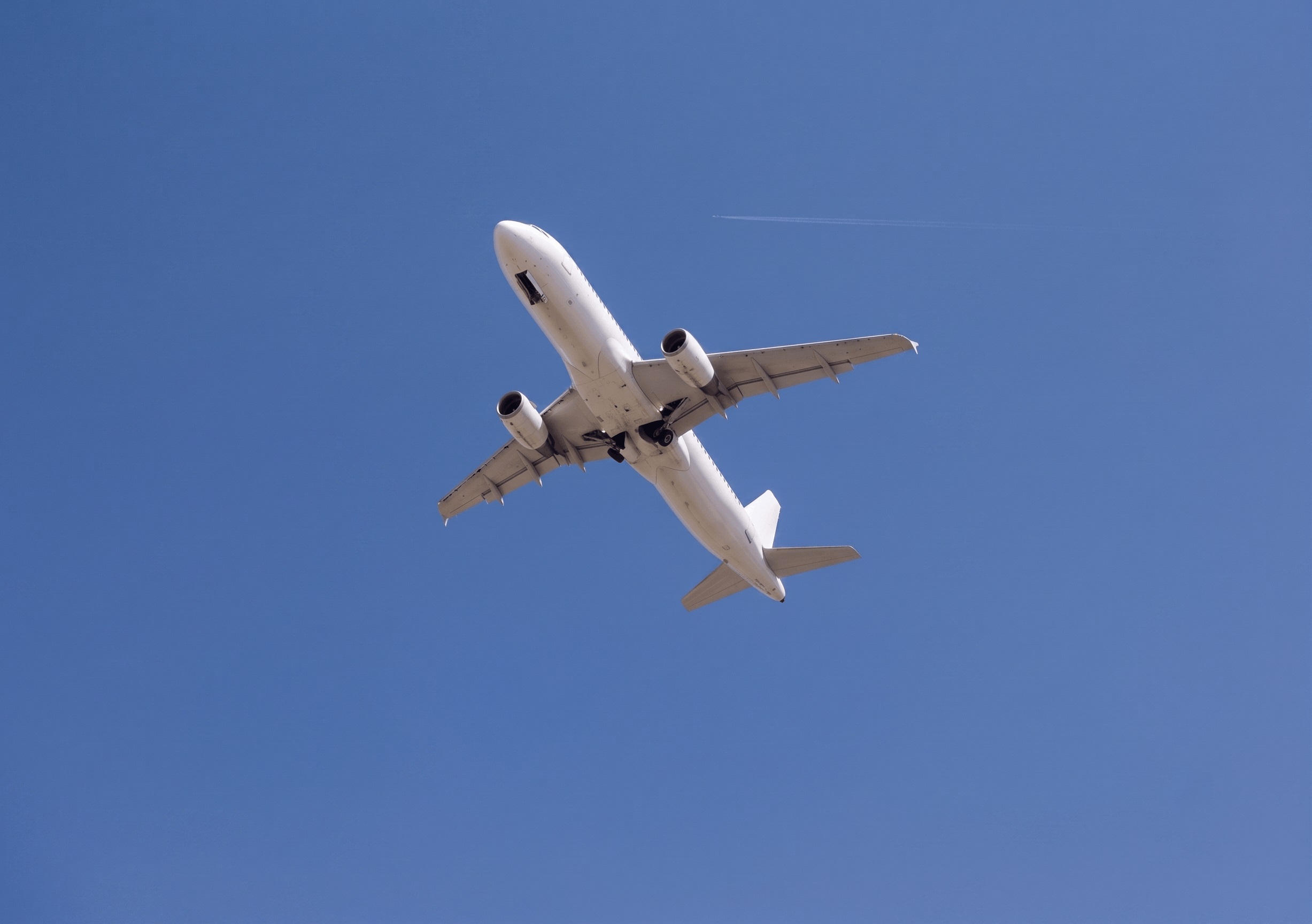 Enterprise cargo logistics and air freight forwarding